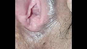 LATEST FAVORITE BUTTERFLY 31.2. 2019