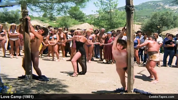 Hot Vintage Nude And Sex Movie Scenes