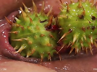 Queensnake.com - Pret-a-Porter